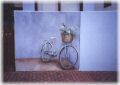 fiets1z.jpg